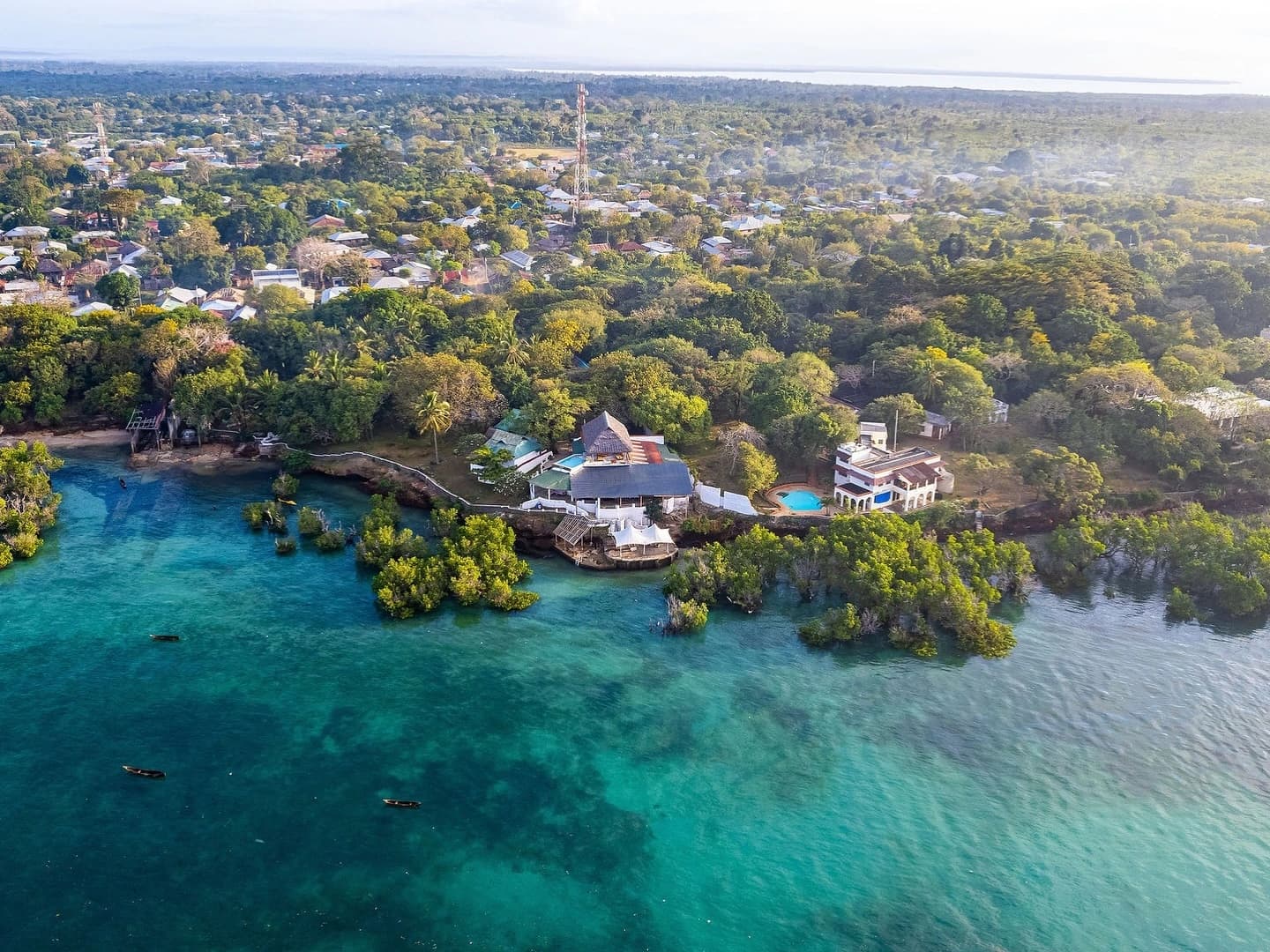 Welcome to Shimoni and the Wasini Channel