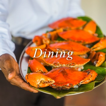 crabs lobster dining seafood restaurant shimoni wasini diani bar tafi kingfish marlin tuna chili crab ginger crab octopus fish prawns shrimp