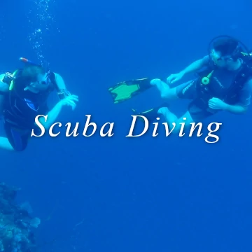 scuba diving padi indian ocean resort Shimoni wasini tanzania pemba zanzibar lion fish gar whale sharks dolphins