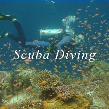 scuba diving padi indian ocean resort Shimoni wasini tanzania pemba zanzibar lion fish gar whale sharks dolphins