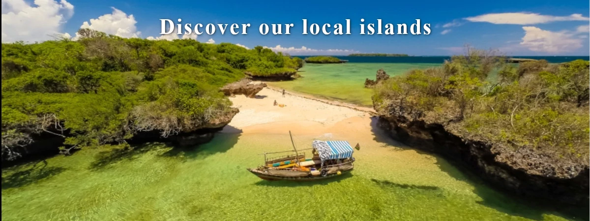 islands mpunguti penguti kisite boat dhow kenya tanzania wasini shimoni zanzibar beach picnic island dolphins snorkeling snorkelling snorkel diving scuba padi