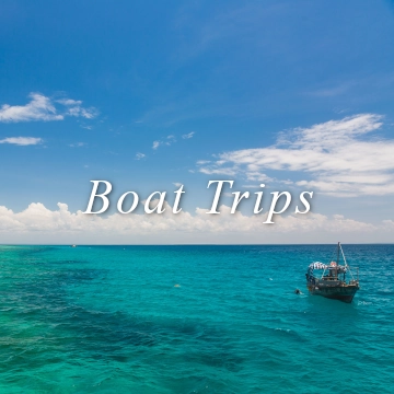 Boat trips sand bar islands picnic swim snorkel beach explore kenya tanzania pemba wasini shimoni kisite penguti mpunguti