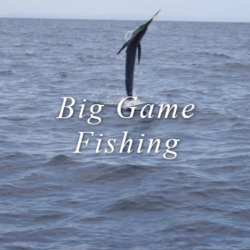 Big game fishing sport fishing indian ocean