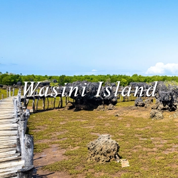 wasini shimoni pemba zanzibar kenya tanzania village mangroves coconuts baobab coral